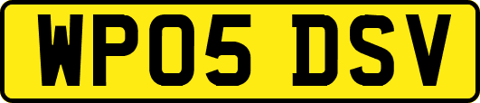 WP05DSV