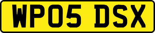 WP05DSX