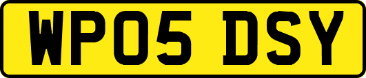 WP05DSY