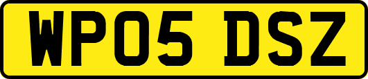 WP05DSZ