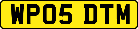 WP05DTM