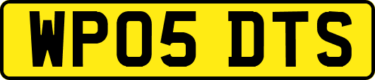 WP05DTS