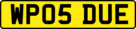 WP05DUE