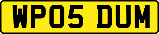 WP05DUM