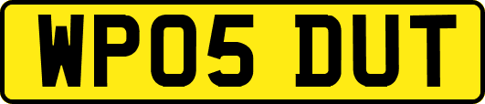 WP05DUT