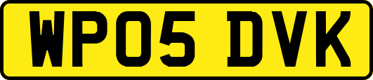 WP05DVK