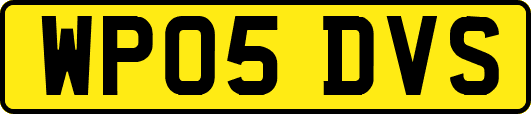 WP05DVS