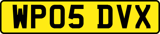 WP05DVX