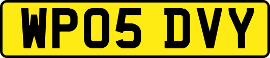 WP05DVY