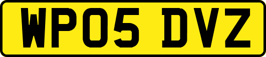 WP05DVZ