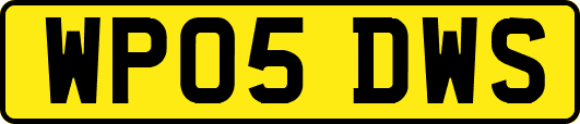 WP05DWS