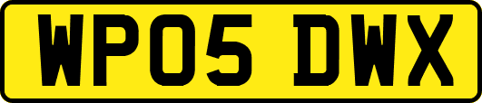 WP05DWX