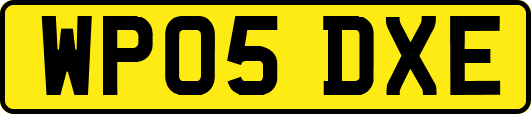 WP05DXE