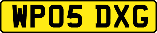 WP05DXG