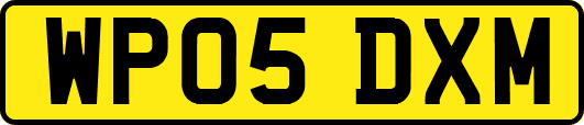 WP05DXM