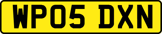WP05DXN