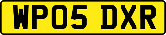 WP05DXR