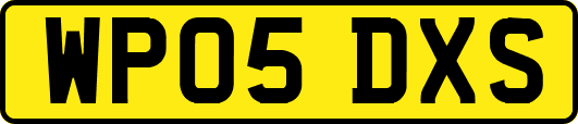 WP05DXS
