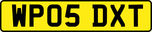 WP05DXT