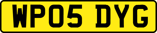 WP05DYG