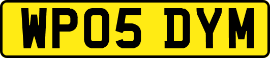 WP05DYM