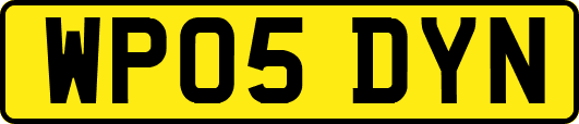WP05DYN