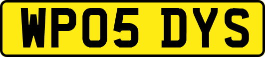 WP05DYS