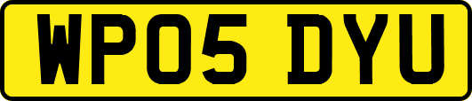 WP05DYU