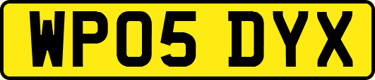 WP05DYX