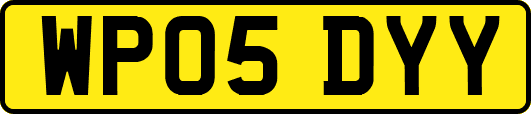 WP05DYY
