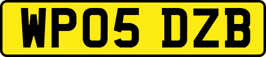 WP05DZB