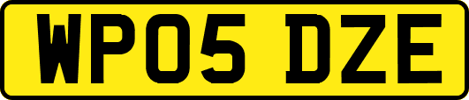 WP05DZE