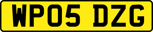 WP05DZG
