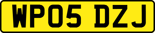 WP05DZJ
