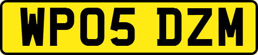 WP05DZM