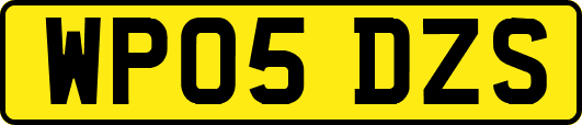 WP05DZS