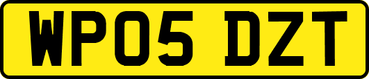 WP05DZT