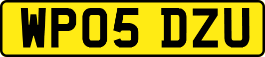 WP05DZU