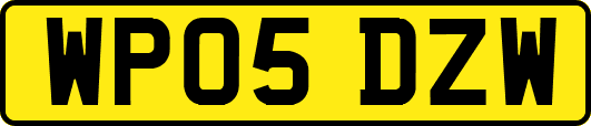 WP05DZW