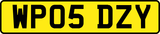 WP05DZY