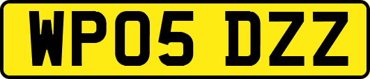 WP05DZZ