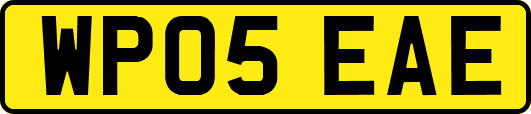 WP05EAE