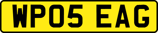 WP05EAG