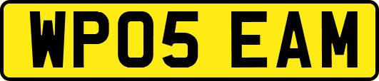 WP05EAM
