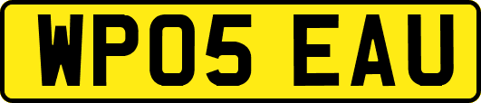 WP05EAU