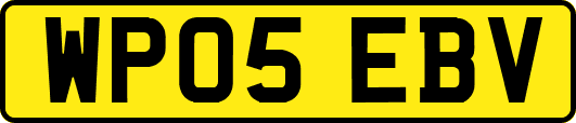 WP05EBV