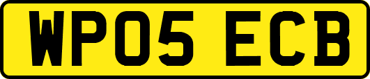 WP05ECB