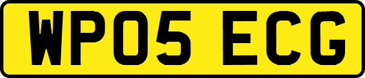 WP05ECG
