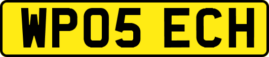 WP05ECH