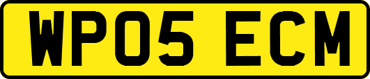 WP05ECM